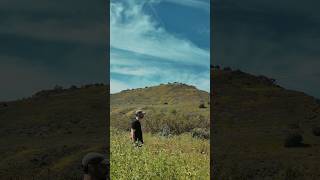 With Digital Controlling So Much Of Our Creativity, I Found A Community Fighting Back