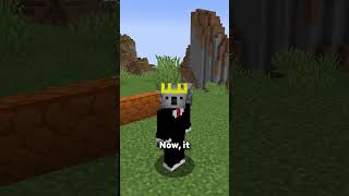 This Block Could Make Minecraft A MILLION Times Better...