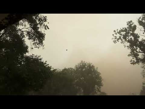 83km के रफ़्तार से अंधी तूफ़ान ⛈️ #karakat #viral #video