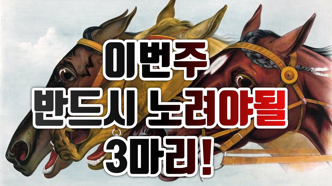 7월 3주차 취재 완료! 서울경마! 노려봐야될 3마리