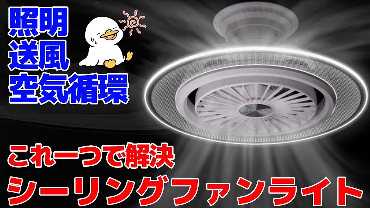 照明＋送風？空気循環をこれ一つですべて解決!!シーリングファン