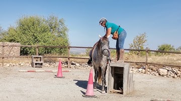 Manuela Mounting Block Rein Cues