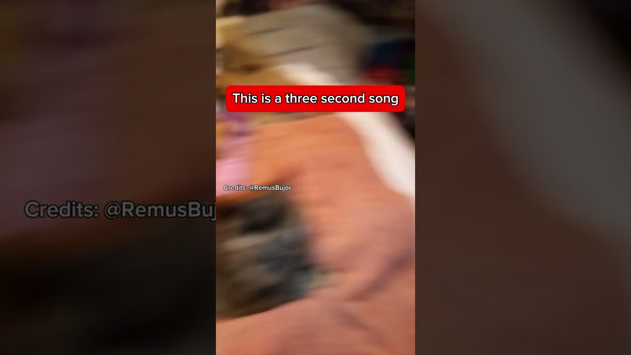 This is a 3 sec song 