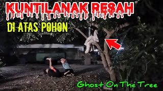 PRANK HANTU TERNAKAL !! PRANK KUNTILANAK DIATAS POHON TERLUCU NGAKAK TERBARU