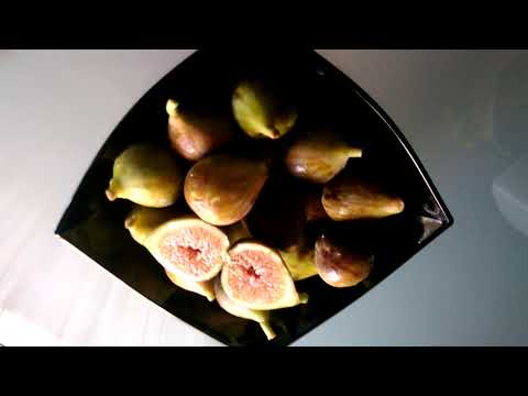Видео: Основна информация за смокините