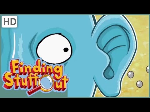 ⁣Sound Season 1, Episode 9 - Finding Stuff Out (FULL EPISODE)