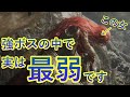 【エルデンリング】誰でもマレニアソロ攻略が可能になる! 覚えてしまえば余裕な立ち回りを初期レベ・ノーダメで解説してみた【初期Lv・武器戦技なし・ソロ】