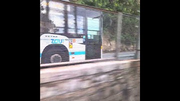 Setra S415nf Ü vs Regio 2N 80km/h❗️