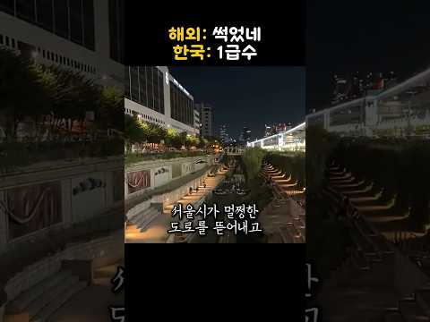 한국이 멀쩡한 다리를 갑자기 뜯어내자 충격적인 반응 thumbnail