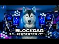 BlockDAG は独自の機能を備えた最高のブロックチェーンです。
