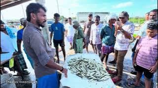 💥Fire is flying ✌️ The price of the fish is affordable after the auction.