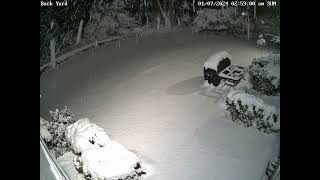 Back yard snow timelapse