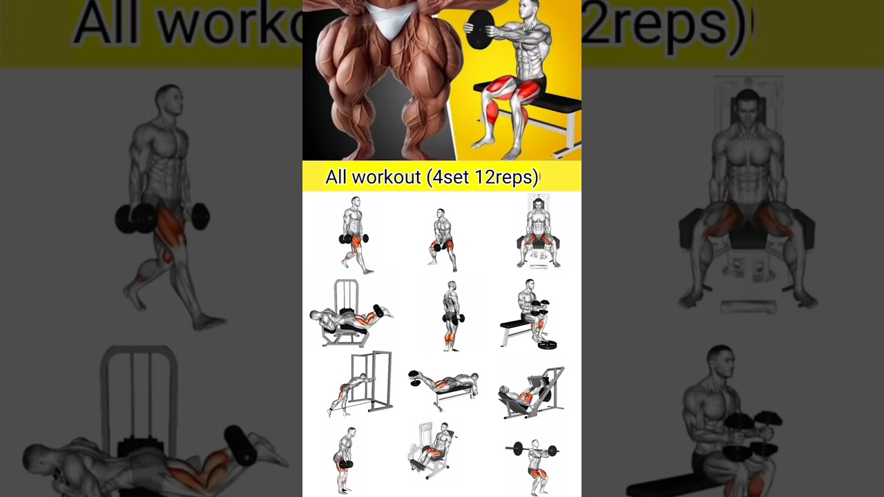 Best Leg Workouts Workout Shorts