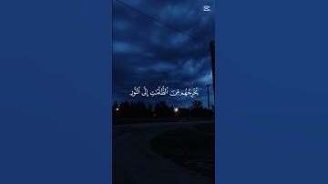 اكتب شيء تؤجر عليه ❤🎧😴 #المصحف #اكسبلور #تلاوة_خاشعة #قرآن #صوت_جميل #راحة_نفسية