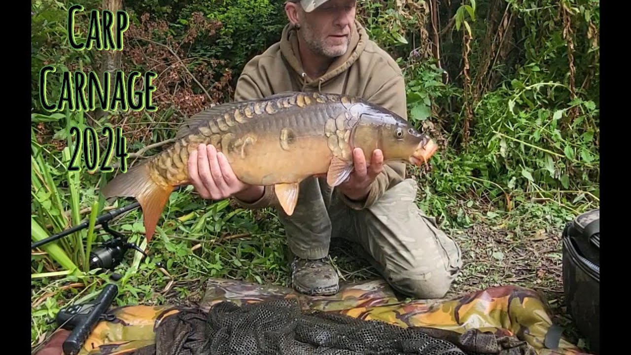 Carp Carnage 2024