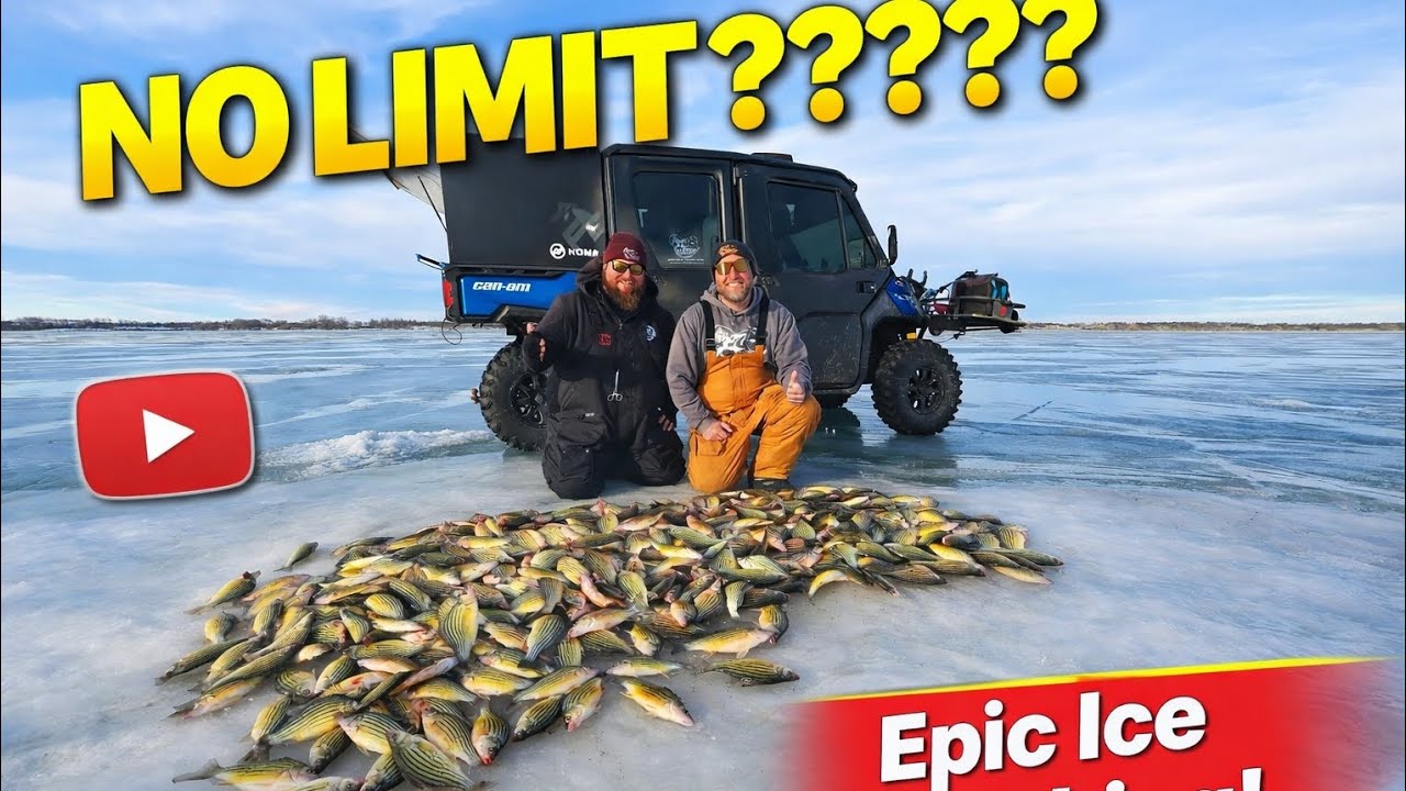Iowa Yellow bass fishing and Ice report on a beautiful winter day!!