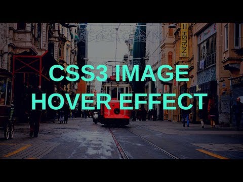 CSS3 Image Hover Effect | Tutorial for Beginners