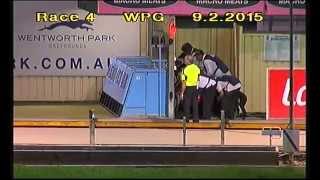WENTWORTH PARK-09022015-RACE-4
