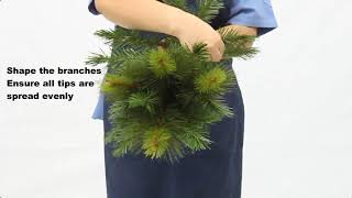 How to Shape Oxford Tree branch