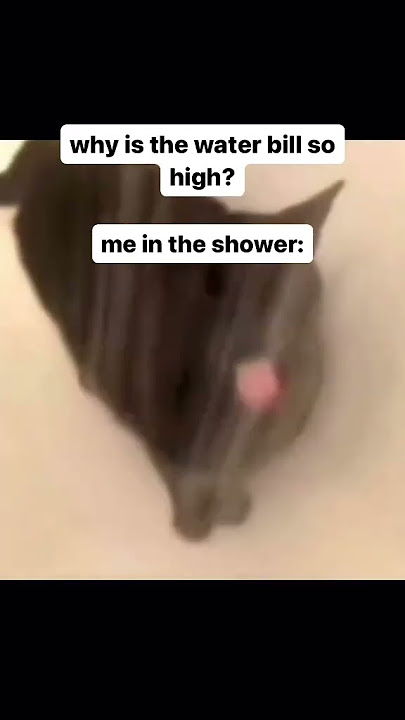 LELELELELE