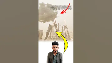 لا تترك شجرتك في وجه العاصفة فكل جذر صامد يحميك من السقوط Explore Like Shorts 