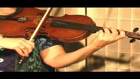 Violin Lesson - Theory - D major scale in first position