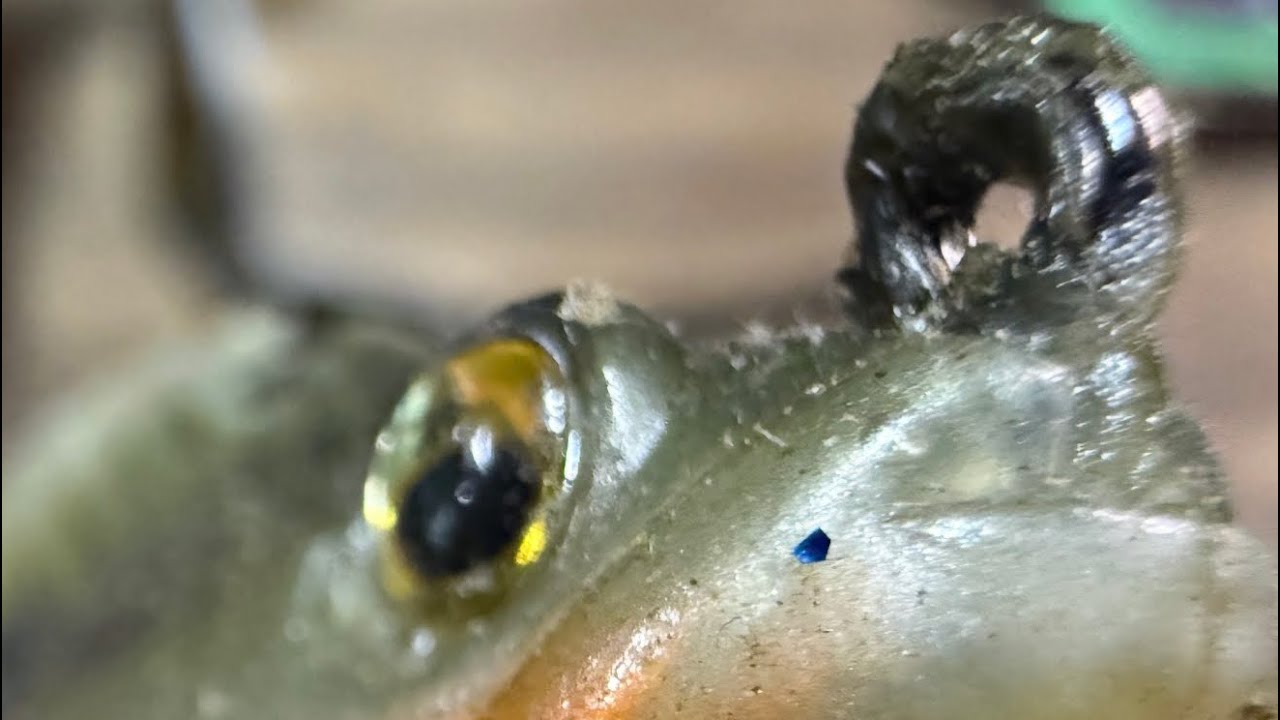 The Most Underrated Lure In Bass Fishing Today…