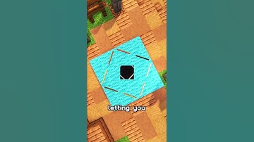 How to Make Cool Patterns with Carpets & Signs in Minecraft!