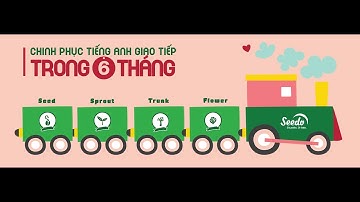Giới thiệu về CLB Tiếng Anh giao tiếp SEEDO