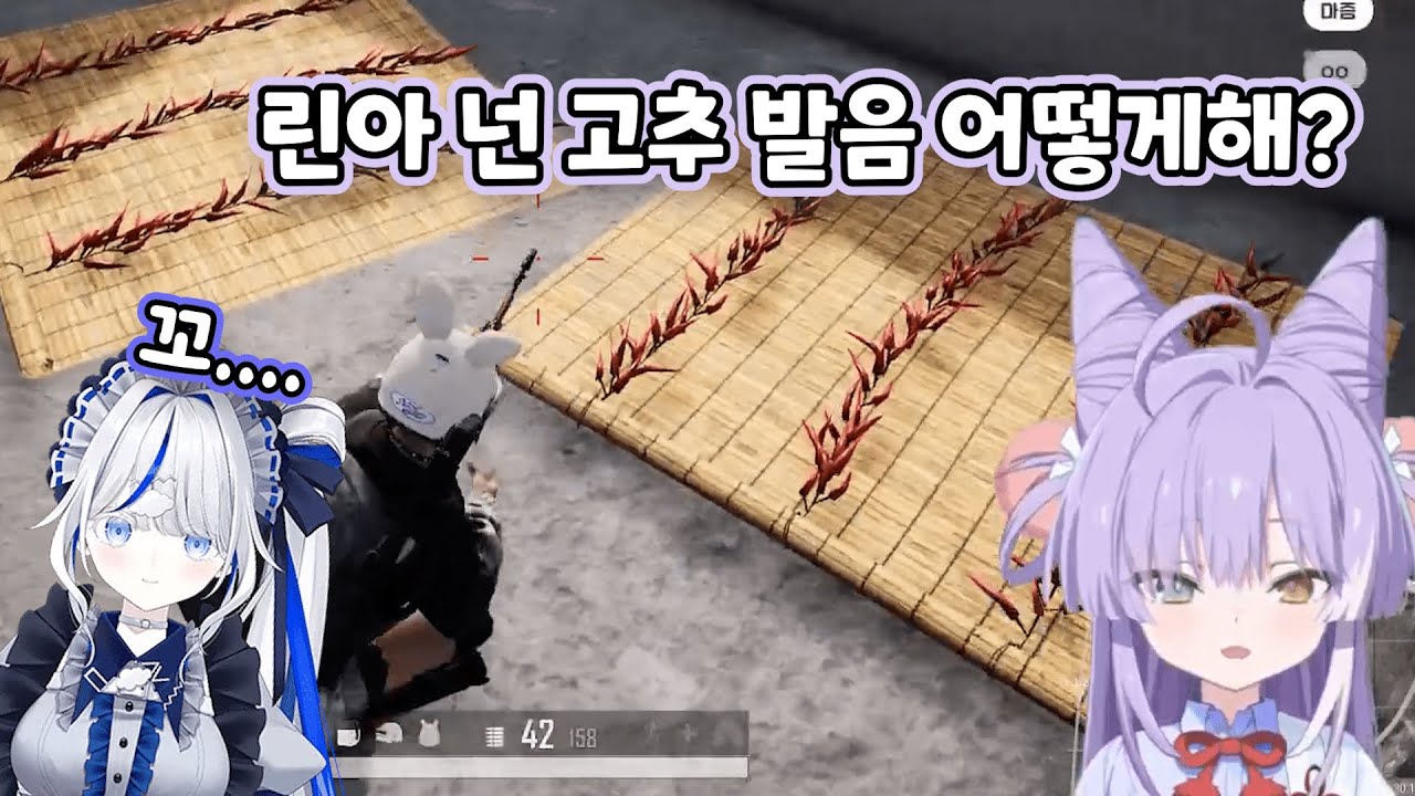 꼬...꼬......꼬!!!!! [텐코 시부키, 아오쿠모 린]