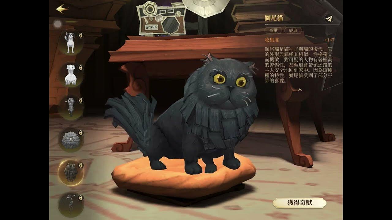 All Owls/Pets update Harry Potter Magic Awakened YouTube