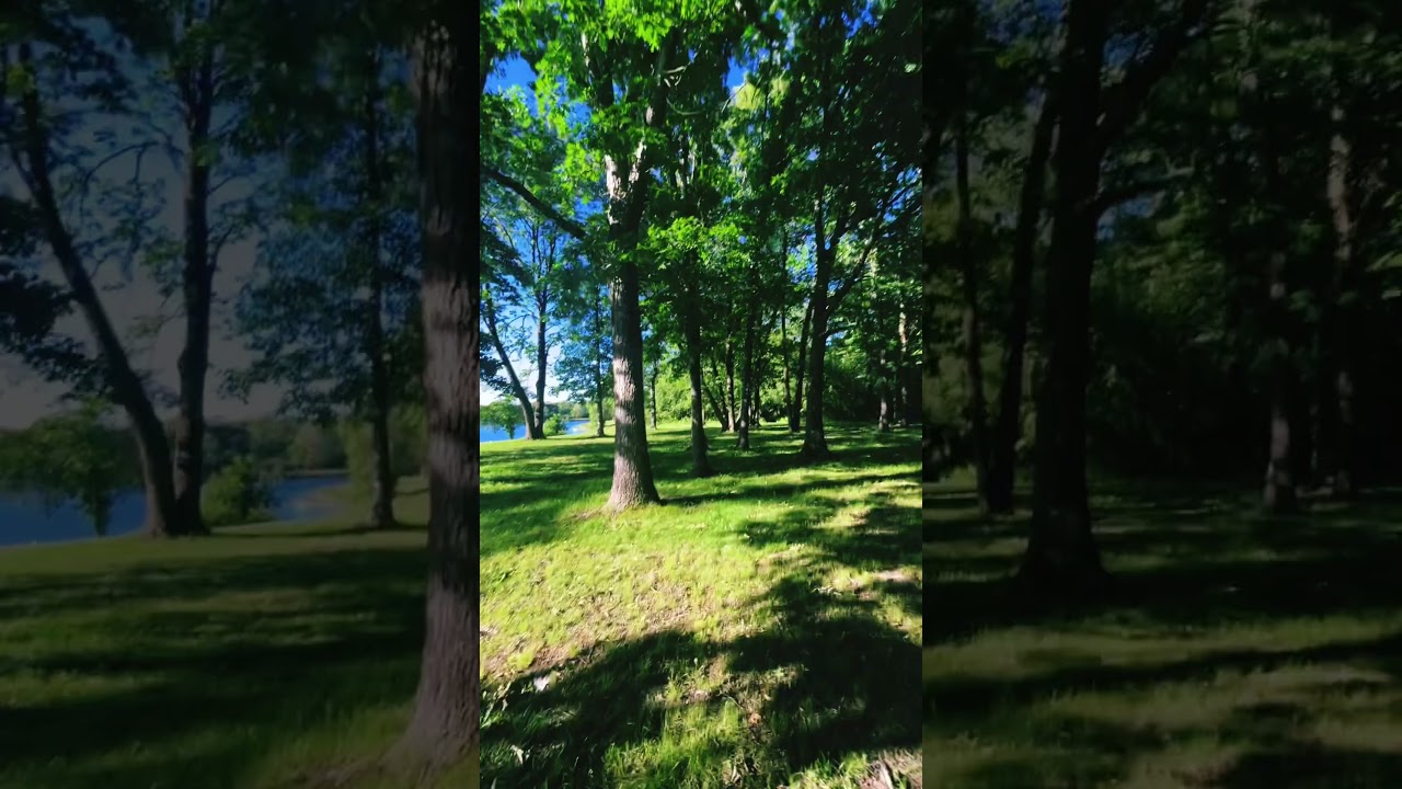 Stellar Drift 🕊️