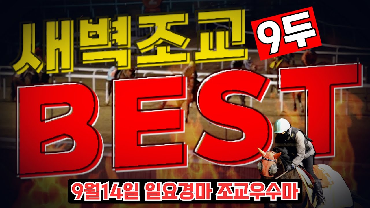 [굽소리경마] 9월14일 일요경마!! 준비잘된 마필로 무조건 승리!!#새벽조교#과천경마장#조교우수마#굽소리경마