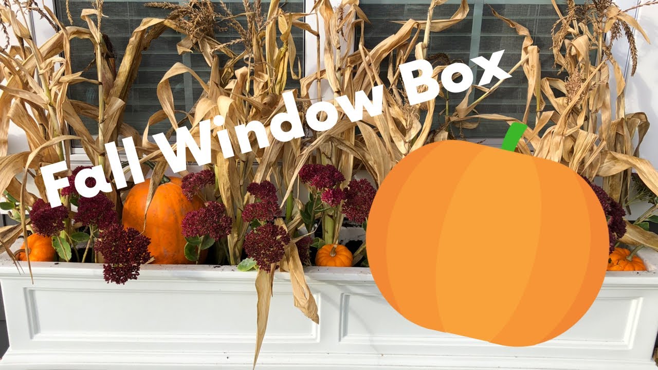 Simple Fall Window Box