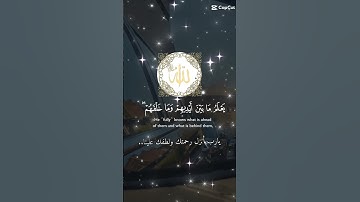 تلاوة خاشعة عطرة مباركة للشيخ سعد الغامدي ماتيسر من سورة البقرة