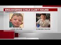 Endangered Child Alert issued for two Hawkins County children