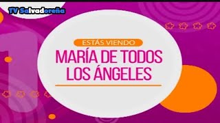C 11 Nicaragua Tandas Comerciales Septiembre 2022 Pifie