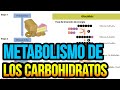 Metabolismo de los carbohidratos