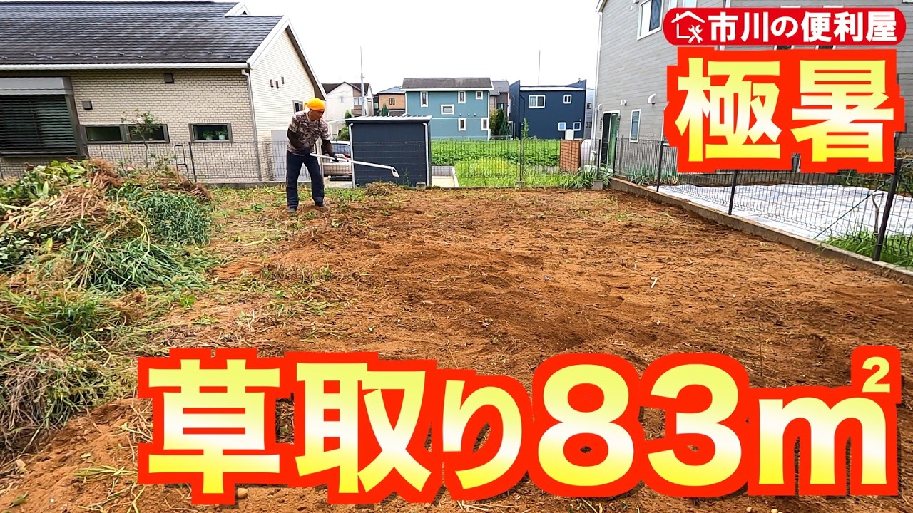 【空き家83㎡草取り&地表削り】極暑日陰無し１本勝負草抜き🌾腰の代わりに膝を使ってセイタカアワダチソウを抜く作戦🌿グラウンドピーラー２が大活躍！抜いた大量の草はどうする問題｜千葉県市川市の便利屋🏠️