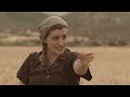 مسلسل شجر الحور مدبلج الحلقه الاولى 1 الموسم الاول مسلسل شجر الحور مدبلج الحلقه الاولى 1 الموسم الاول