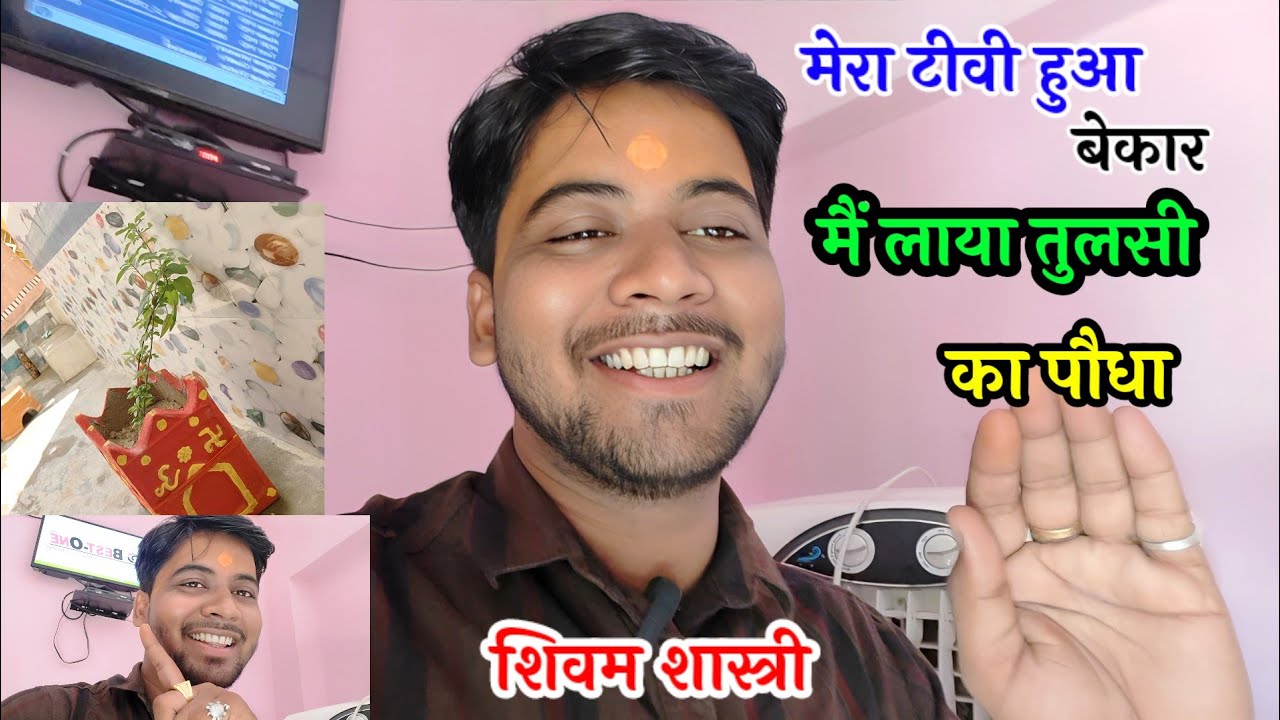 टीवी का नेटवर्क हुआ खराब !! और मैं लाया तुलसी माता का पौधा देखें मजेदार ब्लॉग