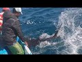 Fishing Catching For Handline Fish Yellowfin Tuna & Blue Marlin Amazing Fishing Video