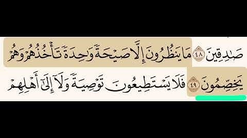 (٣٨) تصحيح التلاوة للكلمة التي تحتها خط - يَخِصِِمون بكسر الخاء وكسر وتشديد الصاد( وليس يخْصمون )