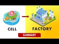 Cell Factory Analogy: Unpacking the Roles of Organelles