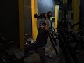 Shoulder Exercises day 1