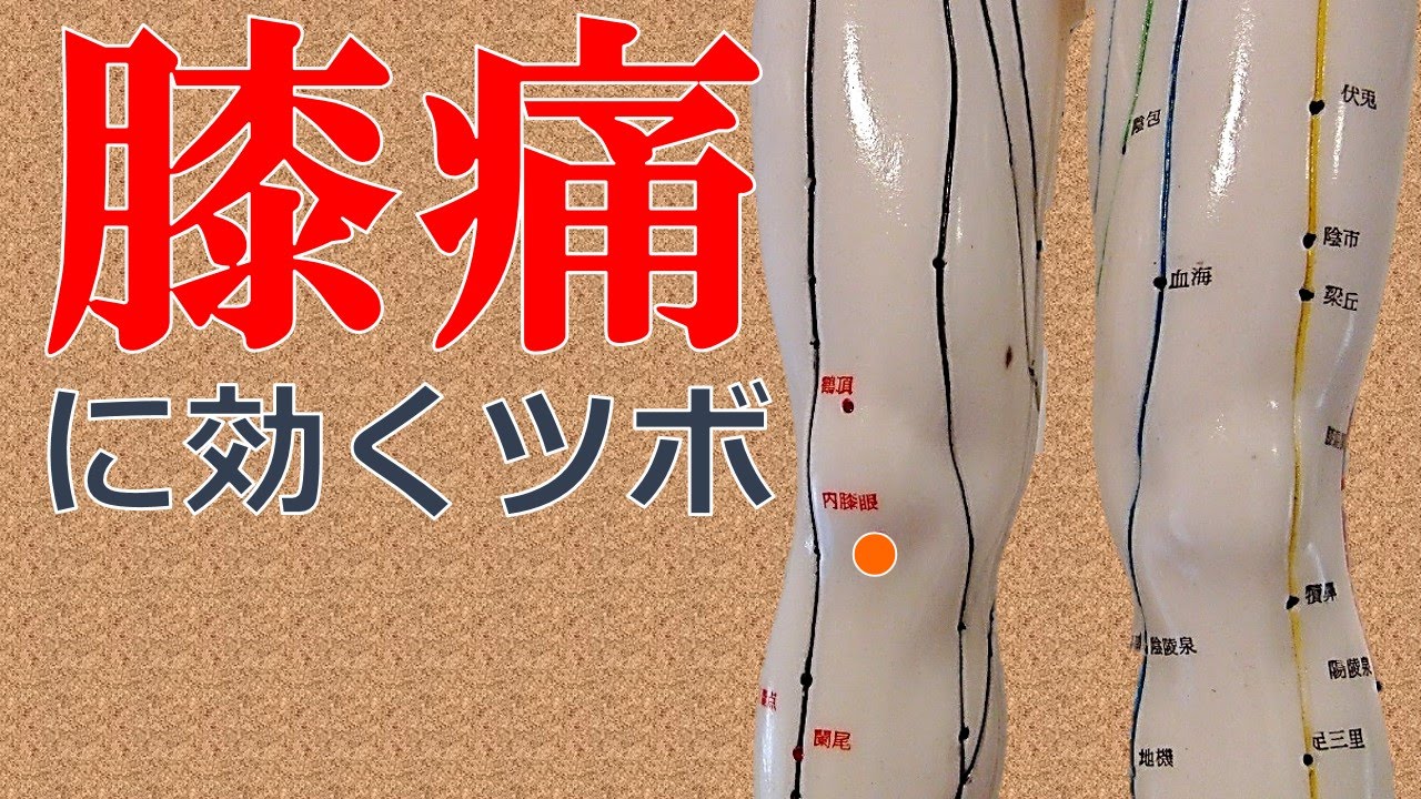 8つのツボ 膝の痛みを和らげるおすすめツボマッサージ方法 Sposhiru Com