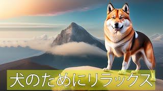 [広告なし]ドッグテレビ- リラックスできる仮想犬の散歩 - 犬のためのエンターテイメント！ by 犬のリラックスタイム 22 views 11 months ago 1 hour, 59 minutes