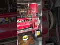 Mustard oil Making process in Village 🌾➡️🛢️ #oilmachine #shorts