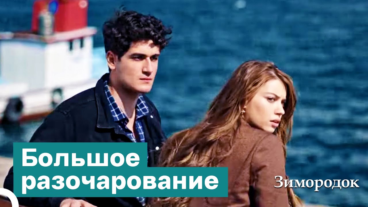 Прошлое, Которое Разочаровало Ферита | Зимородок