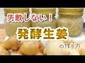【簡単失敗しない】発酵生姜の作り方と使い方 | しょうがの選び方と腐敗の見極め方法